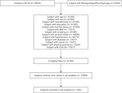 The association between SII and aging: evidence from NHANES 1999–2018